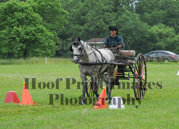 ELKCreekSat1(6-4-16)0544