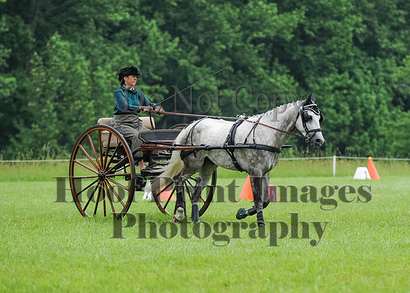 ELKCreekSat1(6-4-16)0530