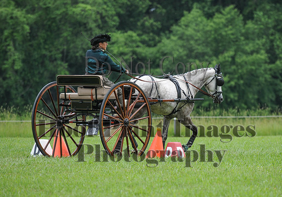 ELKCreekSat1(6-4-16)0541