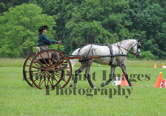 ELKCreekSat1(6-4-16)0539