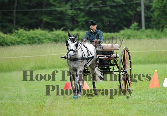 ELKCreekSat1(6-4-16)0550