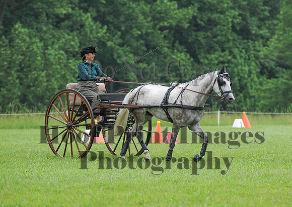 ELKCreekSat1(6-4-16)0531