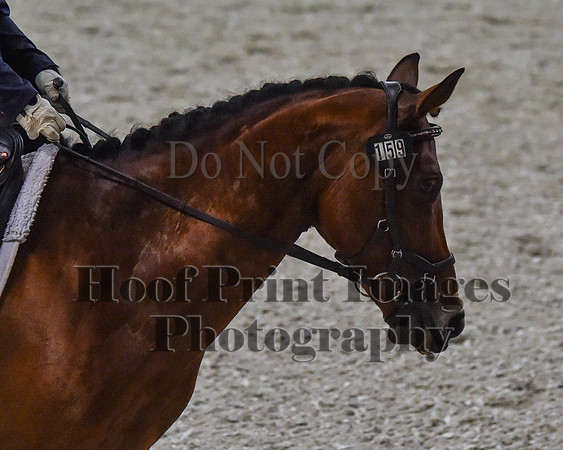 CWdressageII(8-21-16)2094