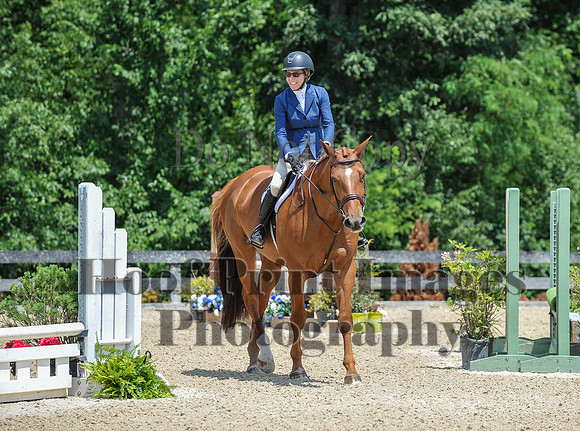 StrollerSun(7-23-23)0411