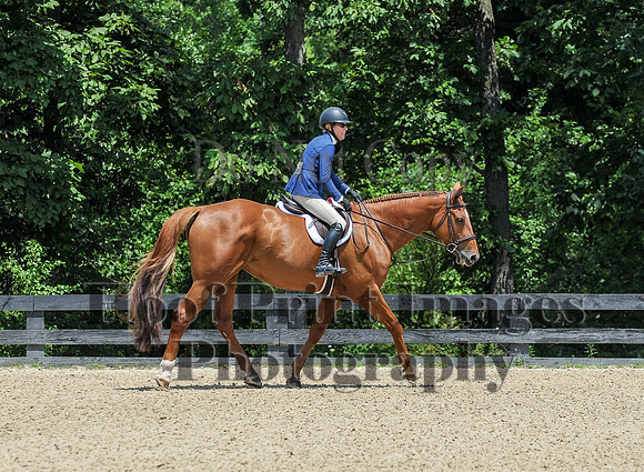 StrollerSun(7-23-23)0390