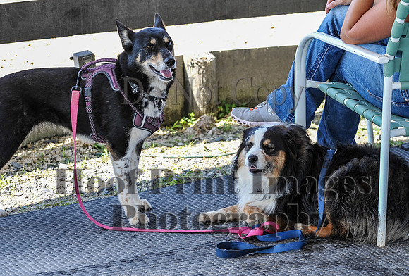 StrollerSun(7-23-23)0143
