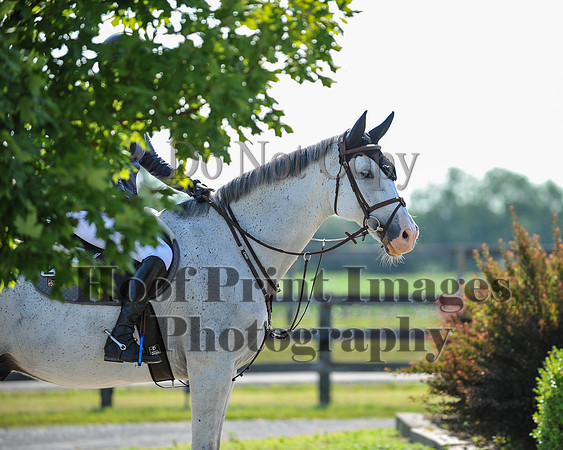 StrollerSun(7-23-23)0094