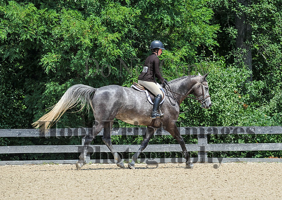 StrollerSun(7-23-23)0393