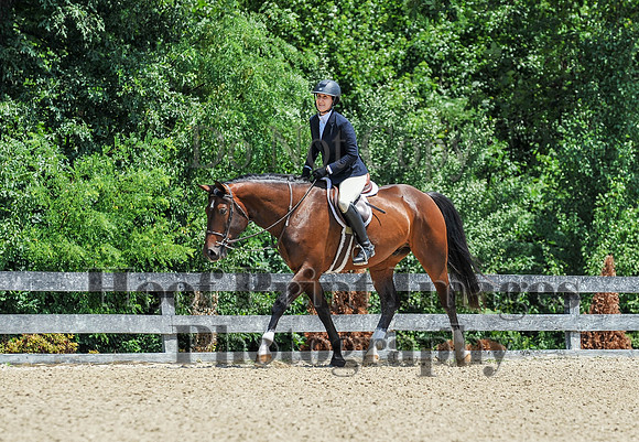 StrollerSun(7-23-23)0403