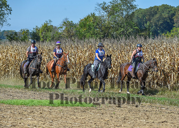 CheshirePonyClubPC(10-6-24)0364