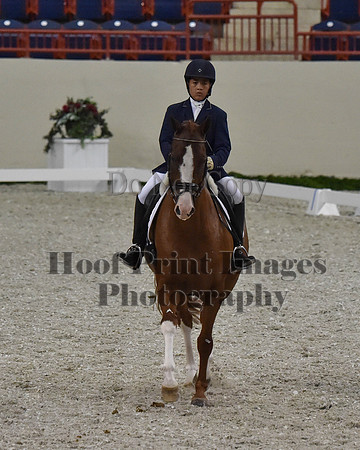 CWdressageII(8-21-16)2011
