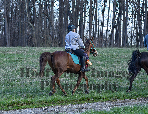 ChesapeakeSpring(4-10-22)0395