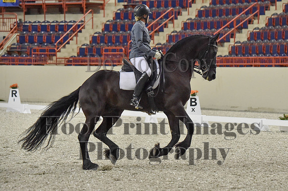 CWdressageI(8-20-16)0933