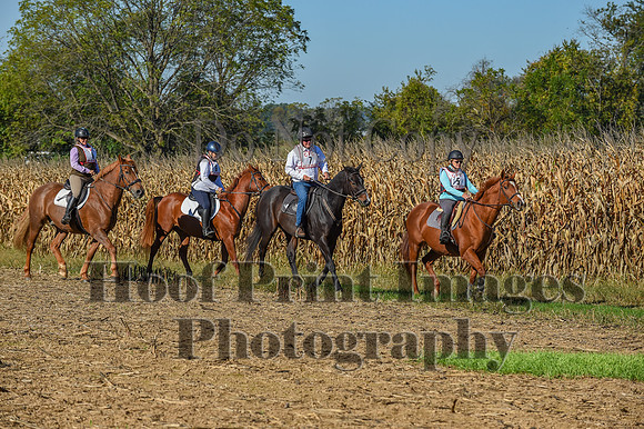 CheshirePonyClubPC(10-6-24)0078
