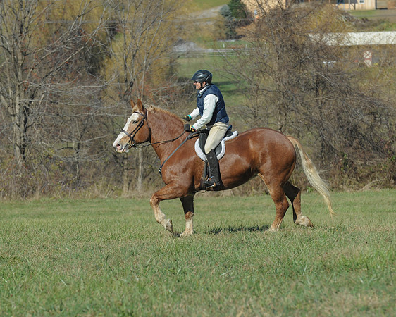 BHPC(11-15-15)0318