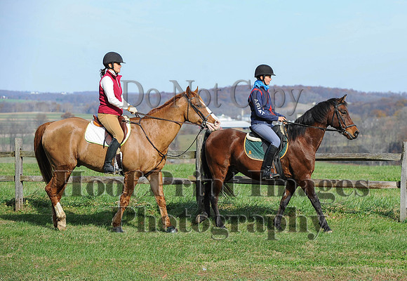 AndrewsBr(11-9-14)0384
