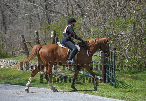 CheshirePC(4-16-16)0228