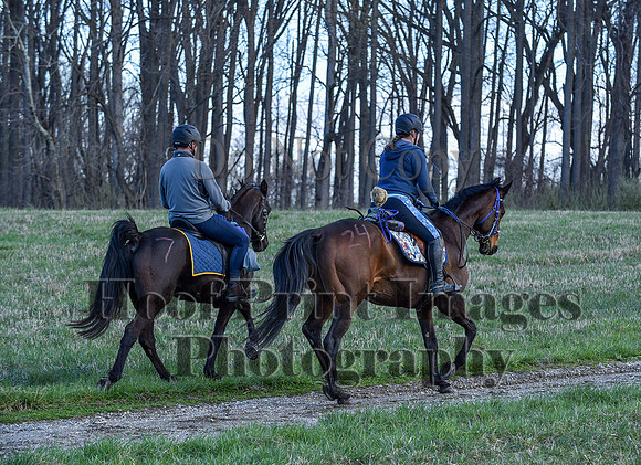 ChesapeakeSpring(4-10-22)0394