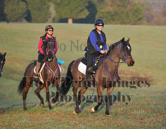 Foxcatcher(4-12-14)0256