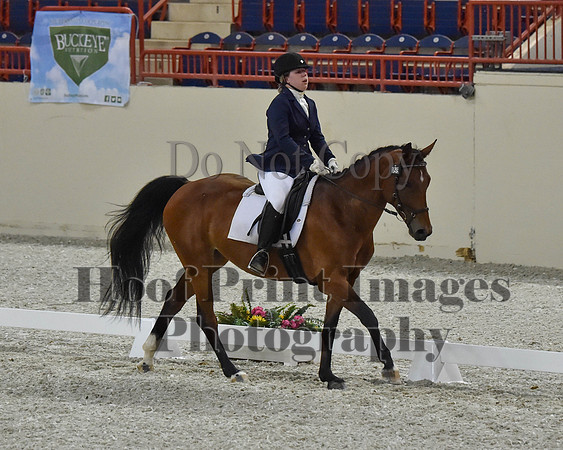CWdressageII(8-21-16)2123
