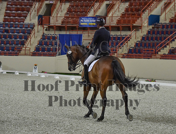 CWdressageI(8-20-16)0472