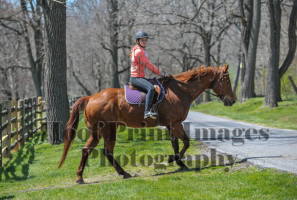 CheshirePC(4-16-16)0241