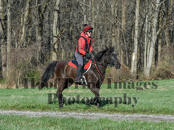 ChesapeakeSpring(4-10-22)0433