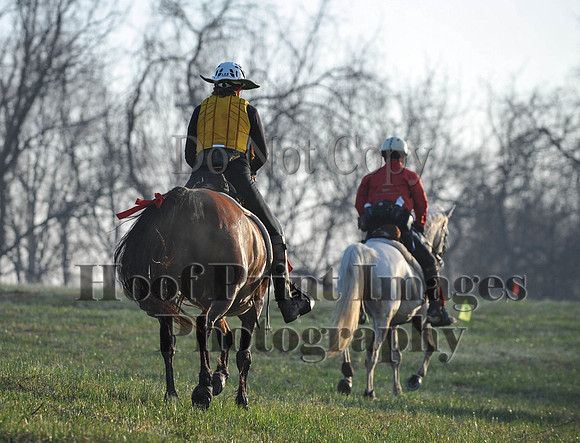 Foxcatcher(4-12-14)0494