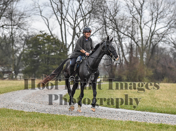 Foxcatcher(4-1-23)161