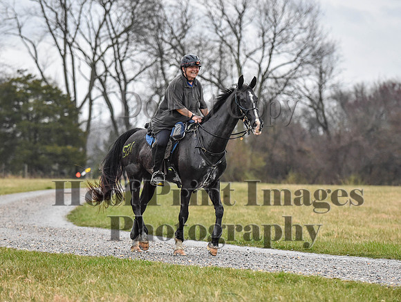 Foxcatcher(4-1-23)164