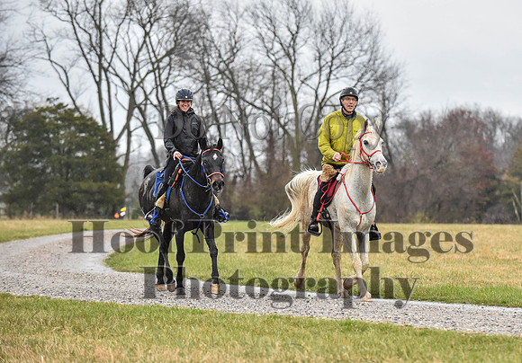 Foxcatcher(4-1-23)209