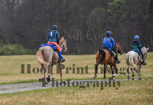 Foxcatcher(4-1-23)285