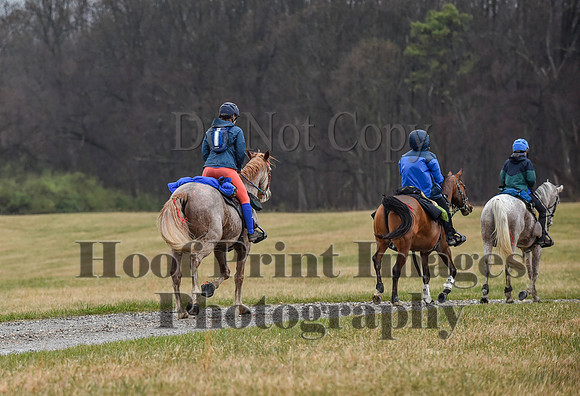 Foxcatcher(4-1-23)286