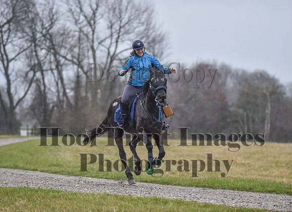 Foxcatcher(4-1-23)391