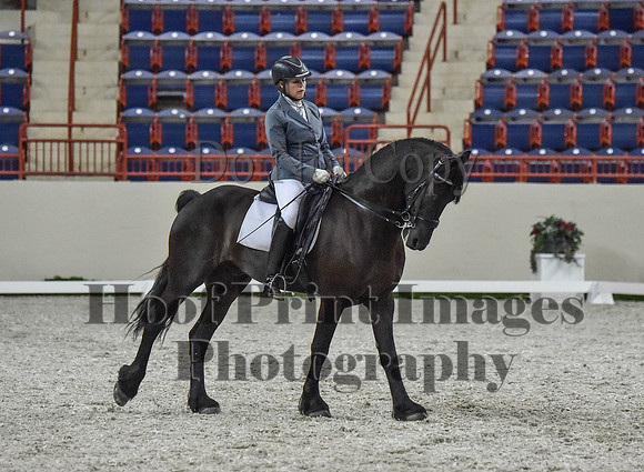 CWdressageI(8-20-16)1231