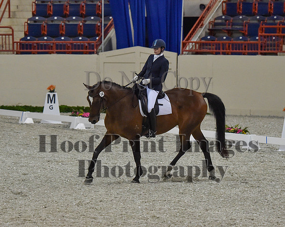 CWdressageII(8-21-16)0408
