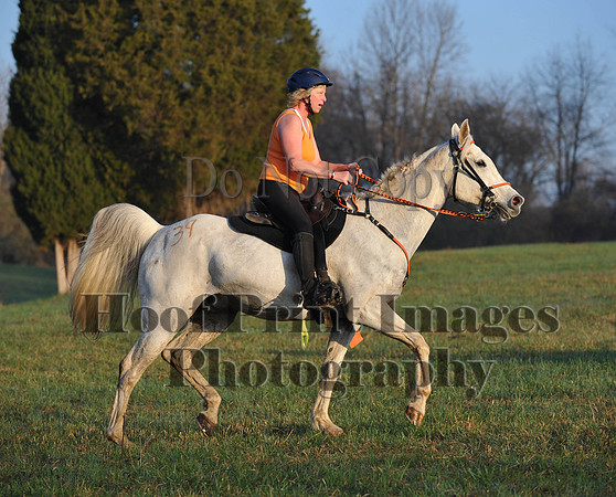 Foxcatcher(4-12-14)0305