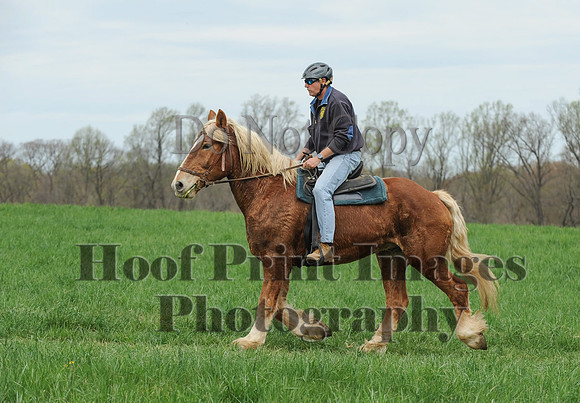 FairHillPC(4-14-17)0466