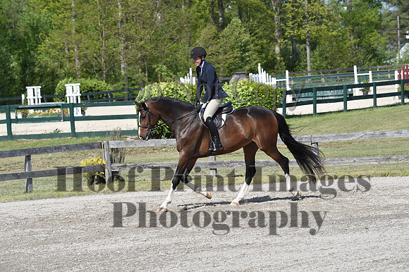 StCSun(5-15-16)PrAd0196