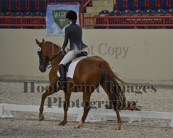 CWdressageII(8-21-16)0111
