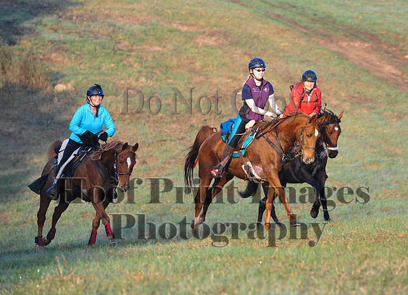Foxcatcher(4-12-14)0404