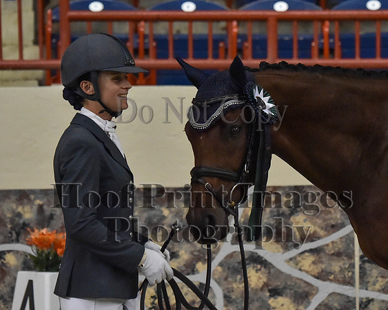CWdressageII(8-21-16)1404