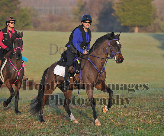 Foxcatcher(4-12-14)0258