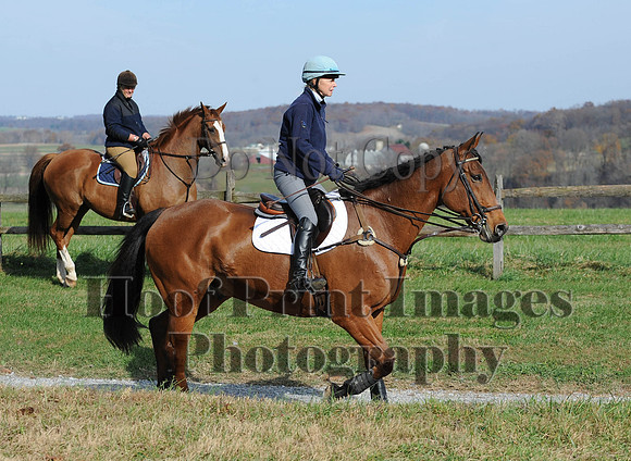 AndrewsBr(11-9-14)0401