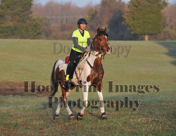 Foxcatcher(4-12-14)0251