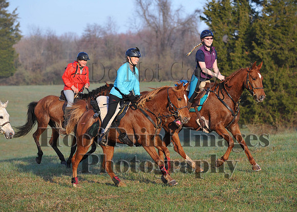 Foxcatcher(4-12-14)0410
