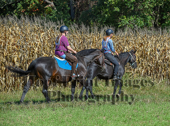 CheshirePonyClubPC(10-6-24)0244