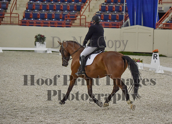 CWdressageI(8-20-16)0233