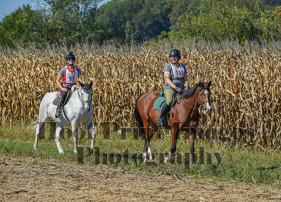 CheshirePonyClubPC(10-6-24)0399