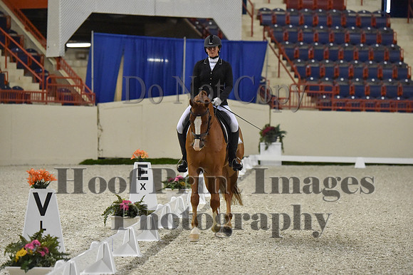 CWdressageI(8-20-16)0529